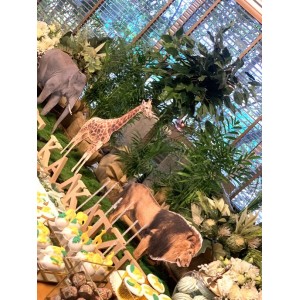 Baptism decoration, theme: wild jungle animals
