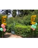 Baptism decoration for boy and girl, theme: baby's name & balloons Christening
