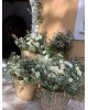 Wedding decoaration, roustic style with olive branches and white flowers Wedding