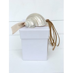 Wedding favor box with natural shell