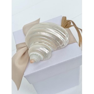 Wedding favor box with natural shell