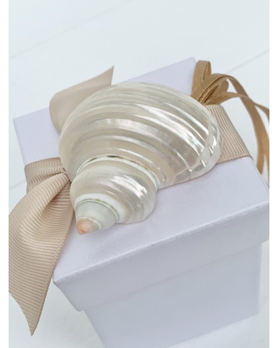 Wedding favor box with natural shell Favors